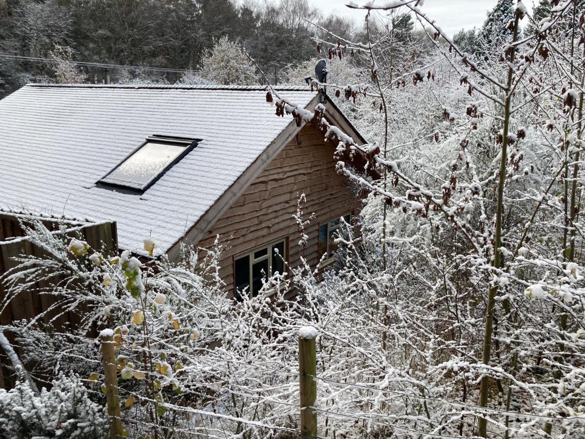 Loxleys Lodge Newark upon Trent المظهر الخارجي الصورة